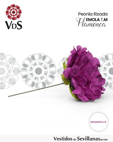 CFBXU0044-BV