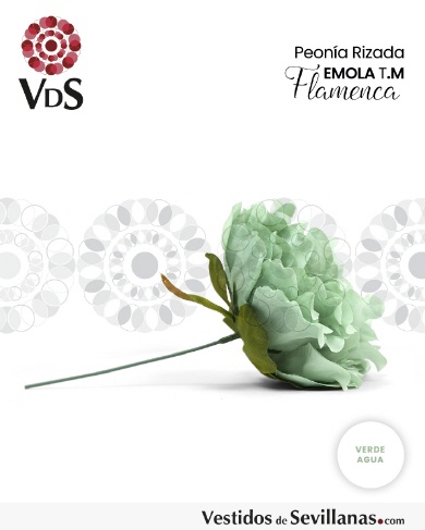 CFBXU0044-VA