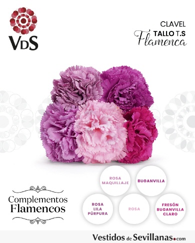 CFTBY17-Rosas