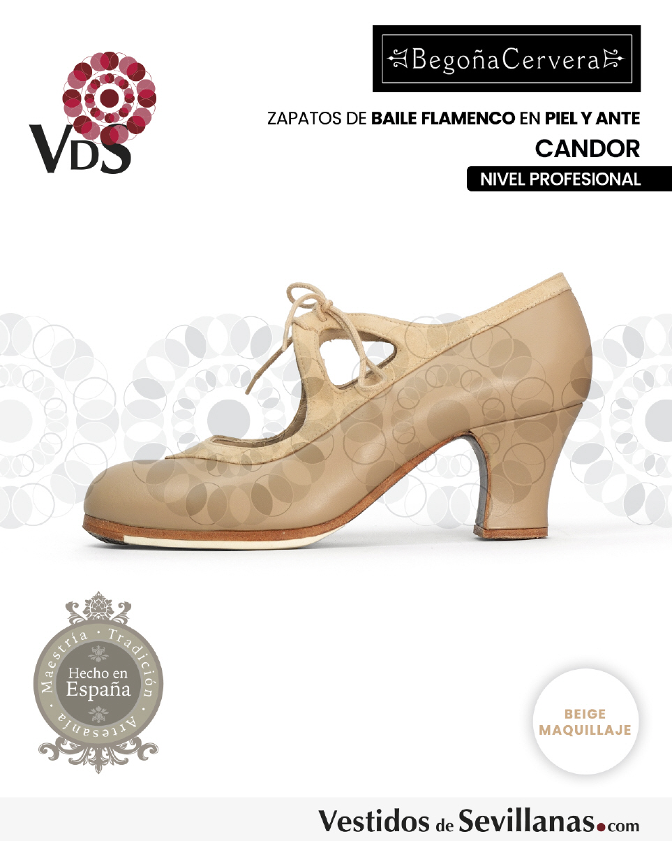 Zapato en piel Profesional